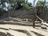 sam_4947