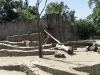 sam_4951