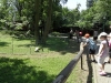 sam_4956