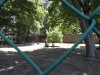 sam_4964