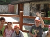 sam_4978