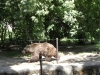 sam_5028
