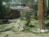 sam_5032