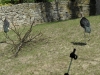 sam_5037