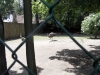 sam_5045