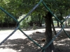 sam_5046