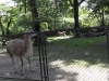sam_5056