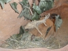 sam_5072