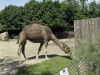 sam_5074