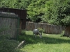 sam_5086