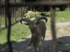 sam_5091