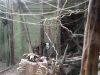 sam_5104