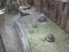 sam_5114