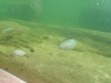SAM_7974