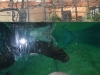 SAM_7980