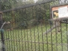 SAM_7984
