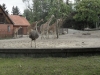 SAM_7988