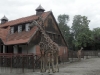 SAM_7993