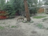SAM_7994