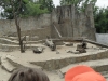 SAM_7997