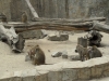 SAM_7999