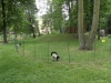 SAM_8002