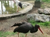 IMG_2764