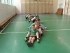sam_4588