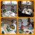 PhotoCollage_1647616440949