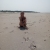 20190611_144917