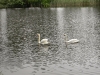 DSCN0567