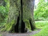 DSCN0592