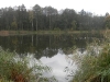 DSCN5993