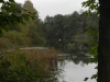 DSCN5997