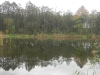 DSCN6000