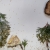 20190116_145741